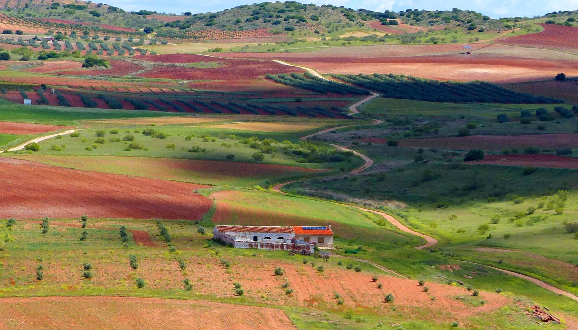 La Plataforma para una Transición Ecológica Justa pide la modificación del Pacto Verde Europeo
